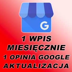 pakiet99-google-my-business